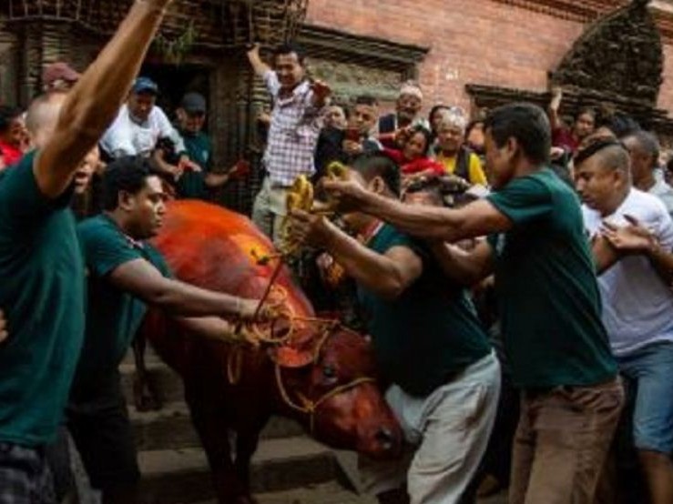 महानवमीको अवसरमा खःमेय् जात्रा मनाइँदै 